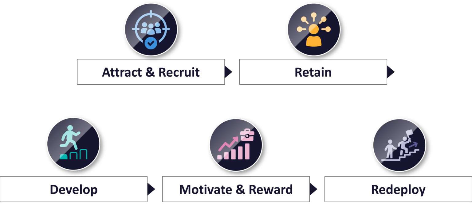 Competency assessment roles